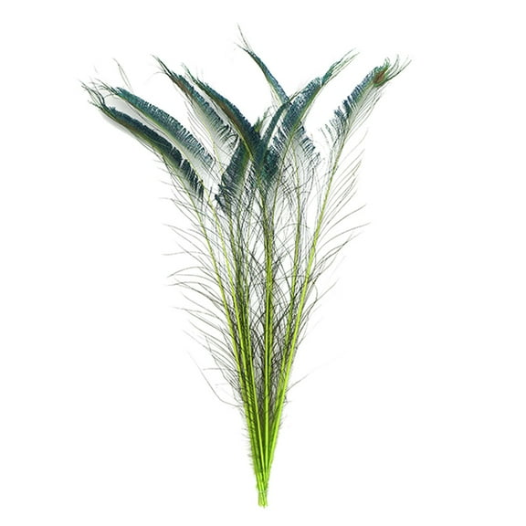 Zucker Feather Products Peacock Swords Stem Dyed Feathers - 25-40" - 10pcs - Lime