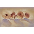 thumbnail image 3 of Dean, Bruce 24x16 Black Modern Framed Museum Art Print Titled - Parisols I, 3 of 5