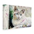 thumbnail image 4 of Canvas Wall Art - FootePrint Art 'Easter Kitty 3' Wall Art for Living Room, Bedroom, or Office Décor by Trademark Fine Art - 32 x 22 Inches, 4 of 4