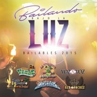 Bailando Bajo la Luz: Bailables 2015