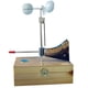 thumbnail image 4 of Modelo de indicador de dirección de plástico para niños para material didáctico de ciencias, 4 of 8