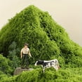 thumbnail image 7 of Moss For Crafts 39.37" X 39.37" Moss For Indoor Artificial Moss For Decorating Green Grass For Planters Crafts Diy Table Centerpieces Fairy Garden Floral Wedding, 7 of 7