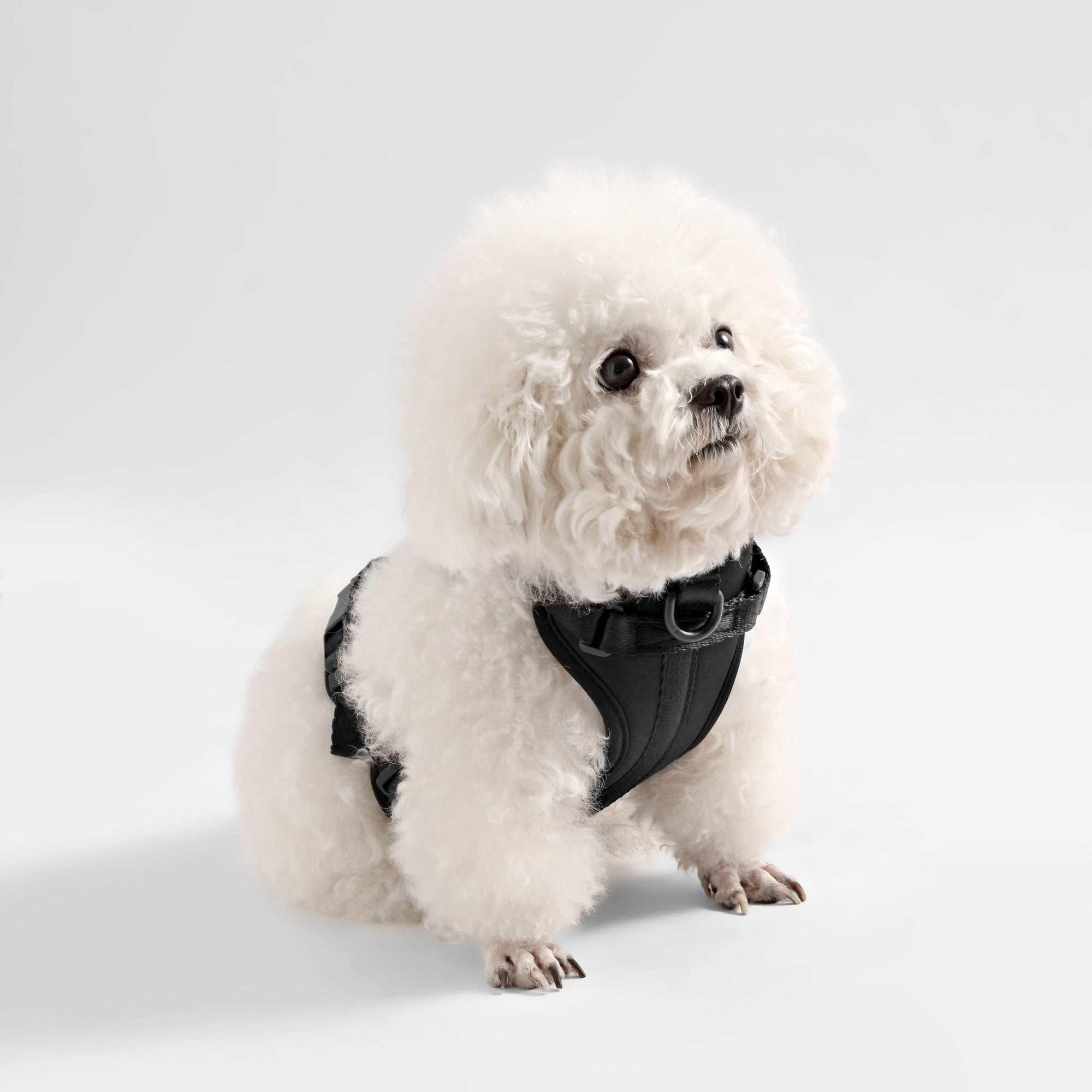 THE LICKER STORE Arlo Extra Small Adjustable Soft Padded No Pull Pet Harness with 3 Buckles and 3 Leash Clips, Black, HNS1000I