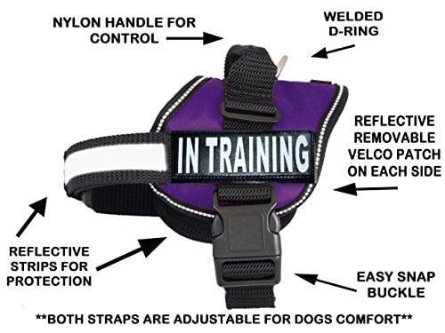 Red Fits Girth 19-25 inches Doggie Stylz Do Not Pet Dog Harness Vest with Removable Saddle Bags and Reflective Patches.