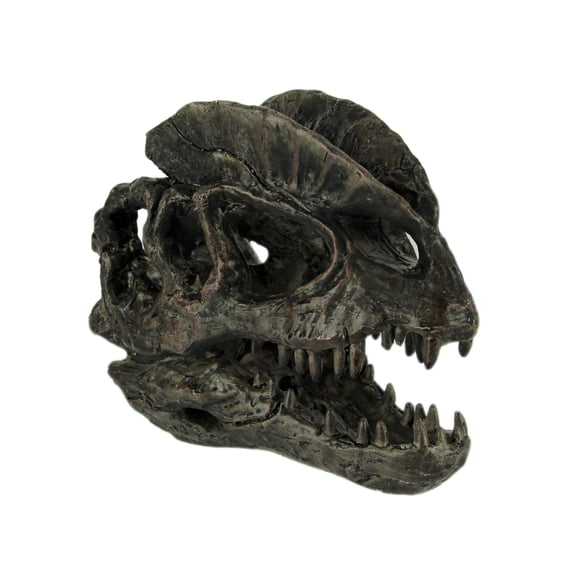 Zeckos Dilophosaurus Dinosaur Head Fossil Statue Small