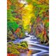 thumbnail image 1 of Pintura de diamante 5D DIY Taladro redondo completo Bosque Stream Kit Decoración para el hogar Arte Artesanía FLhrweasw Nuevo, 1 of 9