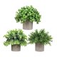 thumbnail image 3 of 3 piezas de pequeñas plantas falsas, plantas artificiales en maceta, plantas decorativas de imitación en maceta para estante de oficina, decoración de Estilo I, 3 of 8