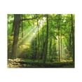 thumbnail image 4 of Green Forest Summer Sunlight Nature Wilderness Photography Canvas Wall Art for Home Decor Ready-to-Hang, 4 of 18