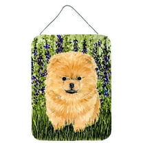 Carolines Treasures SS8746DS1216 Pomeranian Aluminium Metal Wall or Door Hanging Prints, 16" x 12", Multicolor