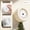 White, variant on Wind-Up Mechanical Kitchen Timer, Magnetic Round Countdown Timer with Alarm for Cooking Baking Study,White