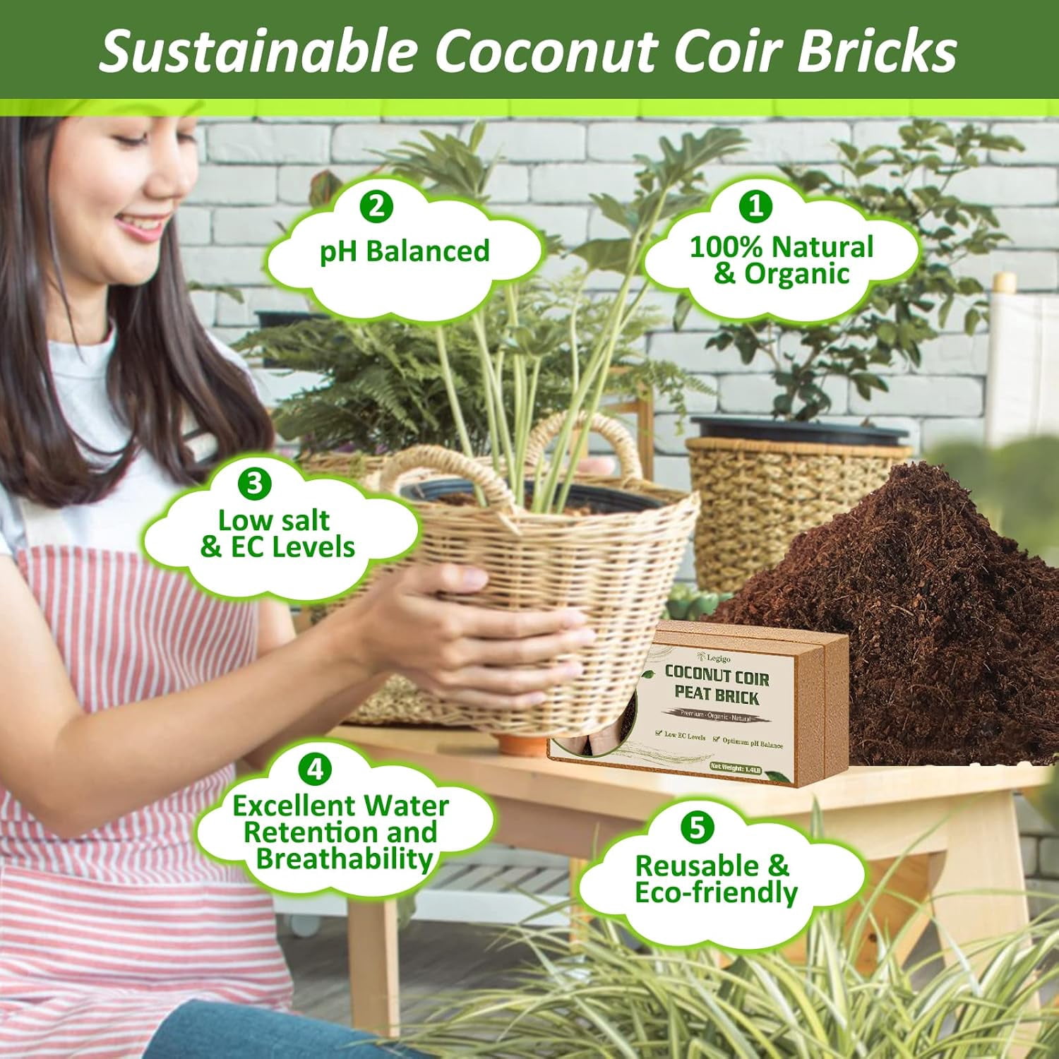 6 Pack Premium Coco Coir Brick for Plants- 100% Organic Compressed Coconut Coir Bricks Starting Mix, Coco Coir Fiber Coconut Husk for Planting, Gardening, Potting Soil Substrate, Herbs