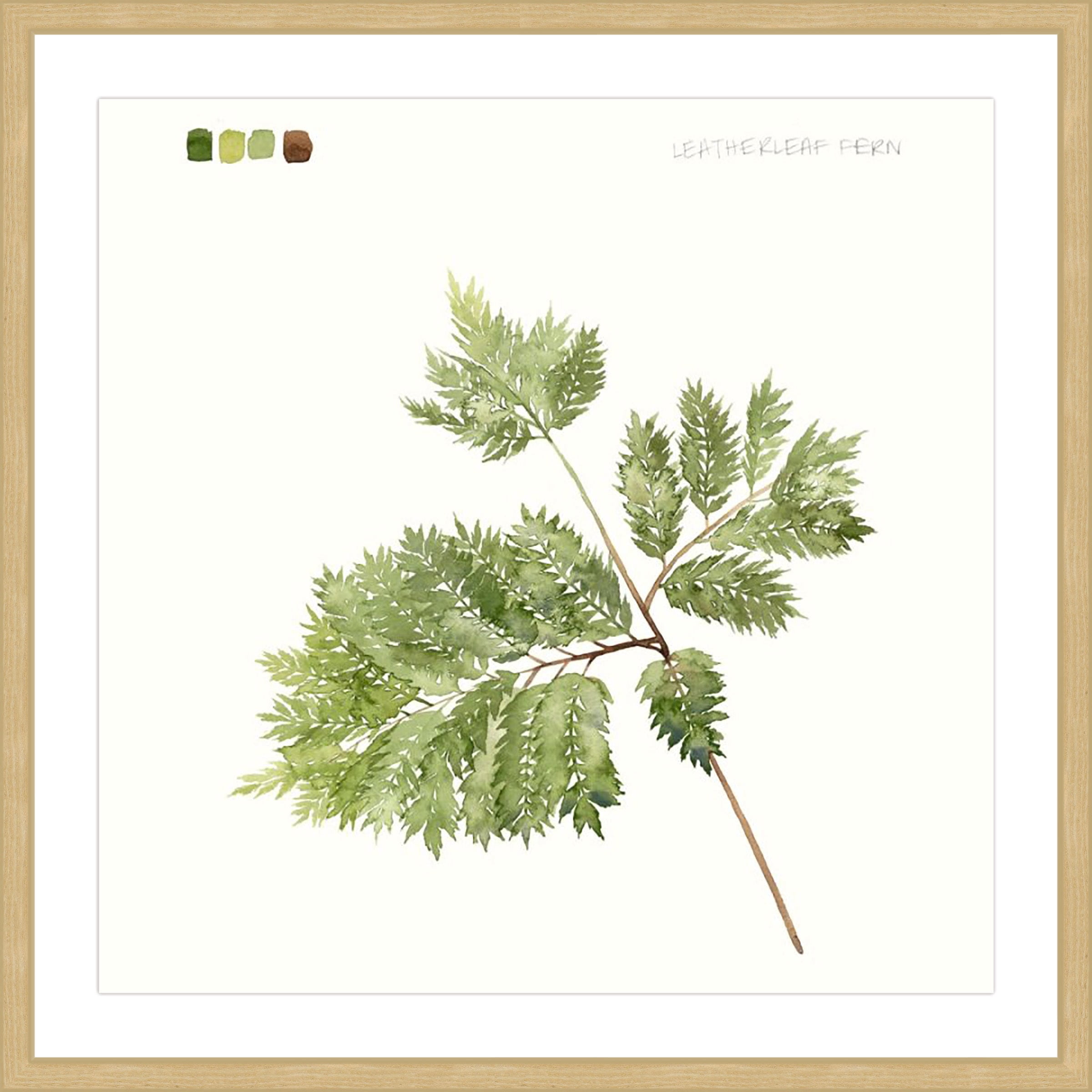 Marmont Hill "Leaf Study II" Framed Painting Print