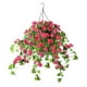 thumbnail image 1 of Bewildely Hermosa cesta colgante artificial Ipomoea Nil Elija Elija Flores artificiales rojo 6 pulgadas, 1 of 6