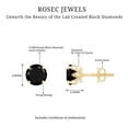 thumbnail image 5 of Rosec Jewels Lab Grown Black Diamond Stud Earrings (6 mm, AAAA Grade) - Black Diamond Earrings with Screw on Backs, 14K Yellow Gold, 5 of 6