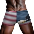 thumbnail image 4 of American Eagle, American Flag Men's Mesh Boxer Briefs Cooling Breathable Sports Underwear Vertical Fly, 4 of 5
