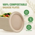 thumbnail image 2 of VIVOSPROUT Disposable Compostable Paper Plates 9 Inch [125-Pack], Heavy Duty, Eco-Friendly made with Biodegradable Bagasse for Parties and Picinic, (Natural-Brown), 2 of 8