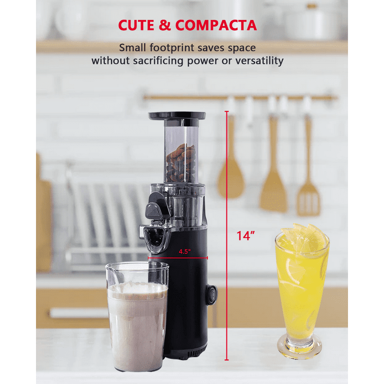 c&g outdoors Luxury Compact Juicer, Easy To Clean Cold Juicer With Brush,  Pulp Measuring Cup, Refrigeration Accessories And Juice Recipe Guide -  Graphite Ash