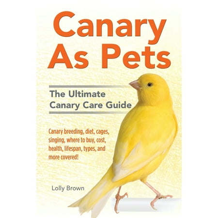 Hourglass Where To Buy Canary As Pets : Canary breeding, diet, cages, singing, where to buy, cost, health, lifespan, types, and more covered! The Ultimate Canary Care Guide ()