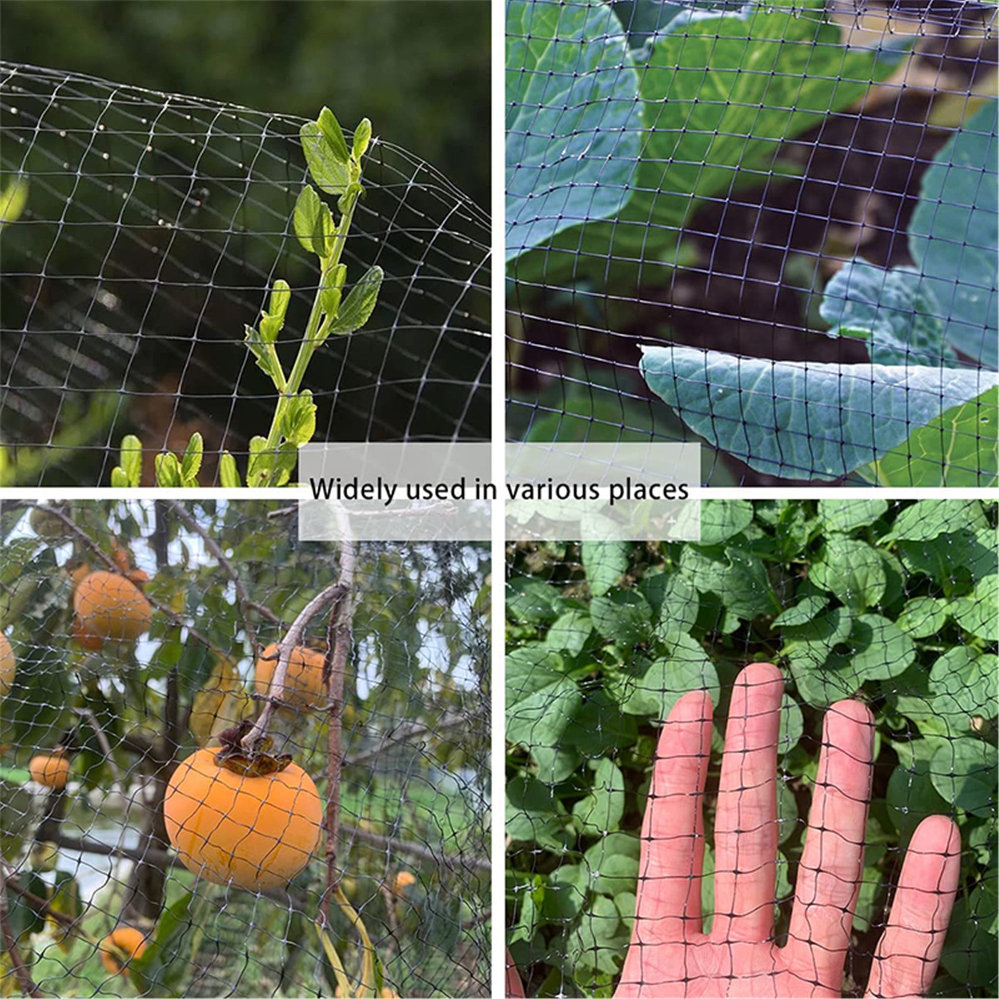 0.8" Square Mesh Anti Bird Netting Net Mesh For Fruit Crop Plant Tree Vineyard P 