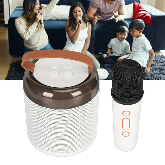 Karaoke Machine With Microphones, Portable BT Speaker With LED Lights, For Home Party, For Kids Adults, Birthday Gifts For Girls,