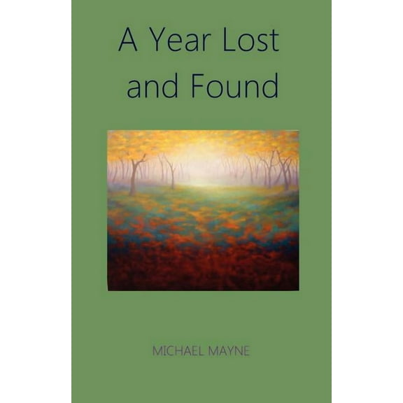 A Year Lost and Found (Paperback)