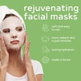 thumbnail image 2 of PB & JAY Purenature Facial Mask – Korean Sheet Mask for Dry Skin – Korean Collagen Essence Hydrating Facemask Sheet (Cucumber), 2 of 4