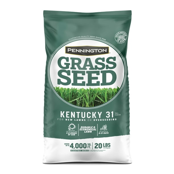 Pennington Kentucky 31 Tall Fescue Grass Seed, for Sun to Partial Shade