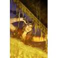 thumbnail image 3 of Star Wars: Doctor Aphra Vol. 6, 3 of 3