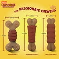 thumbnail image 6 of Hartz Chompathon Rock 'N Rib Bone, Nylon, Tough Dog Chew Toy, 6 of 11