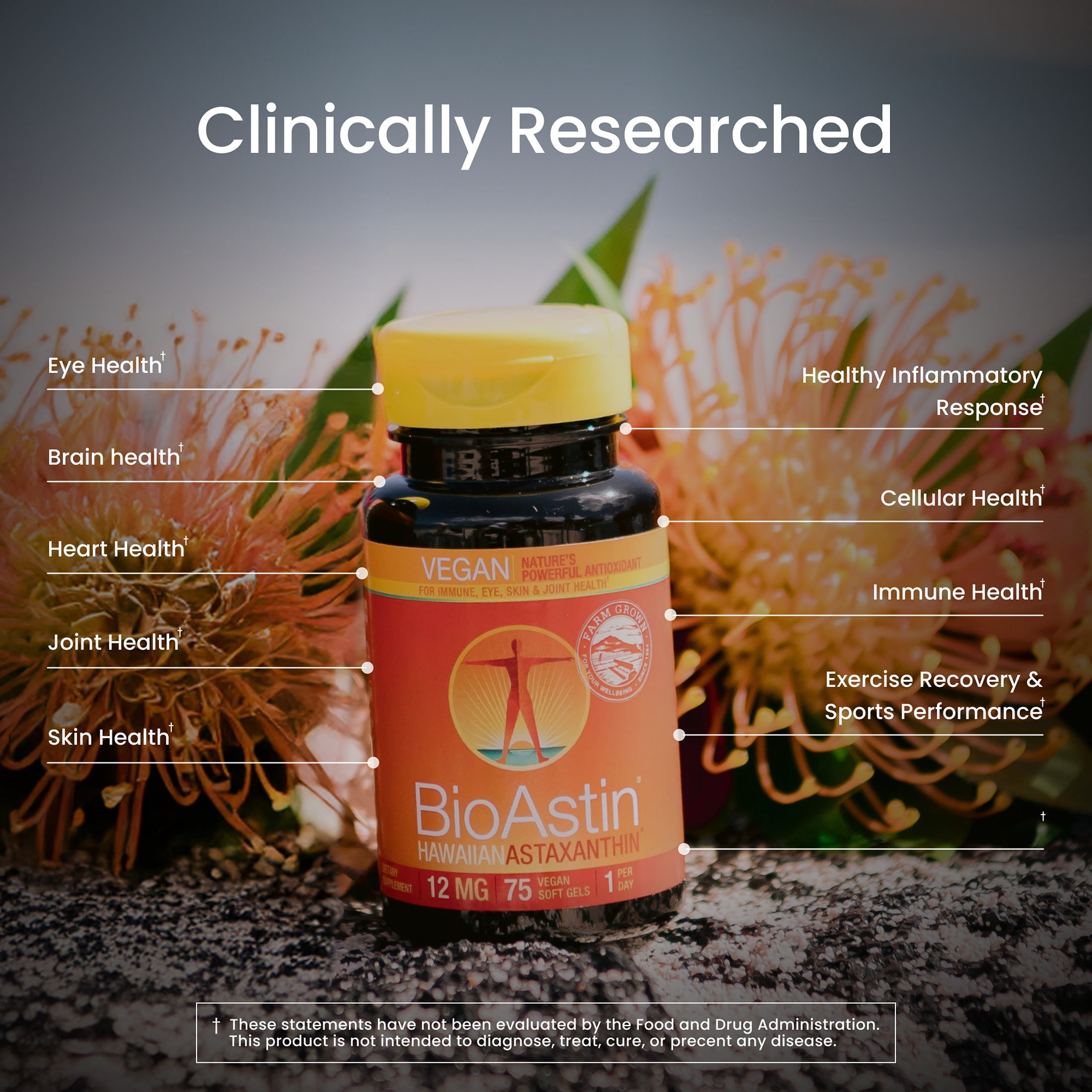 Nutrex Hawaii BioAstin Hawaiian Astaxanthin - Antioxidant Support for Skin and Immune Health - First-Class Microalgae Grown in Kona, Hawaii - Non-GMO and Gluten-Free- Vegan- 12mg Dosage, 75 Softgels