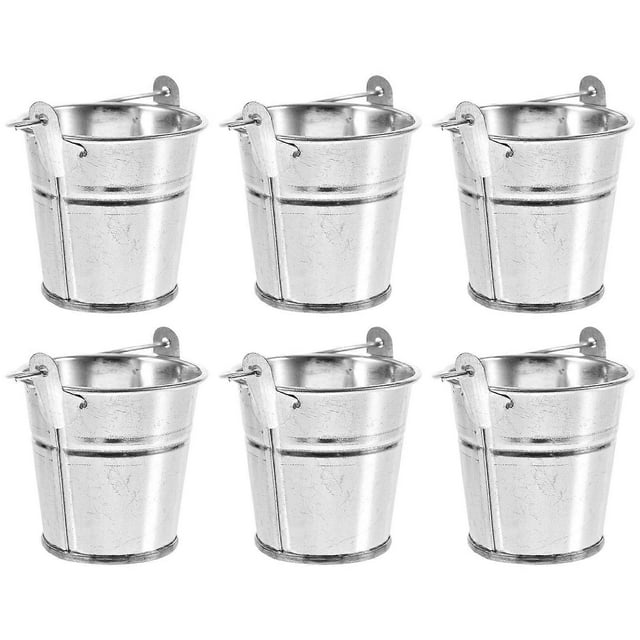 6Pcs Mini Metal Buckets with Handles Iron Chip Fry Serving Buckets Flower Pot Vase