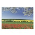 thumbnail image 1 of Flower Cutting Board, Poppy Field with a Spring Landscape and Blossom Tree View in Meadow Nature Image, Decorative Tempered Glass Cutting and Serving Board, Large Size, Multicolor, by Ambesonne, 1 of 1