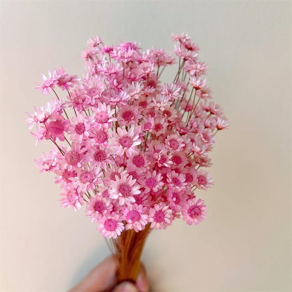 Triani 100Pcs Natural Dry Flowers Small Star Daisy Dried Flowers Decorative Chamomile Bouquet for Home Decorations Valentine's Day Gifts(Pink)