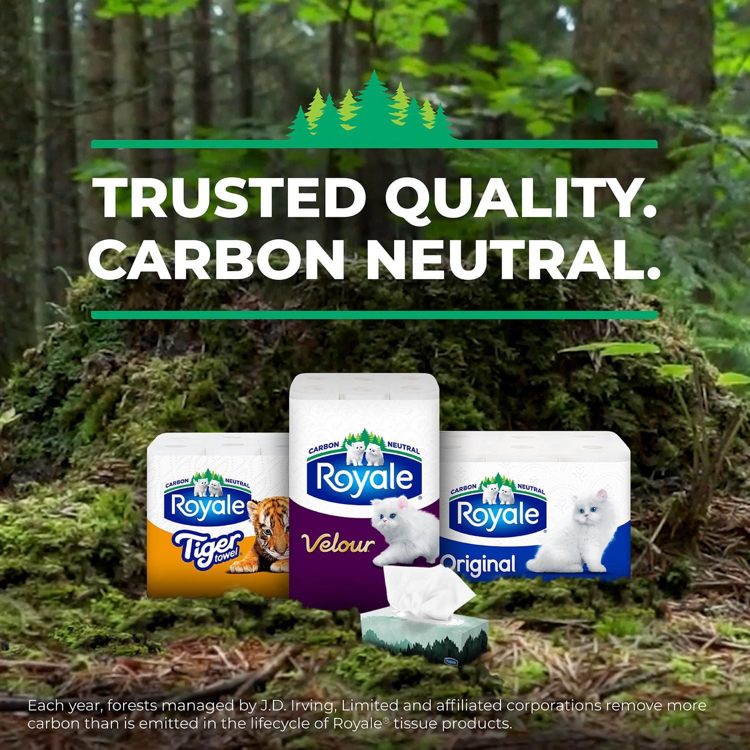 Royale Dinner Napkins, 3 ply, 75 paper napkins