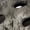 Green, variant on Little Kids' Mossy Oak® Country DNA™ Muckster Lite EVA Clog