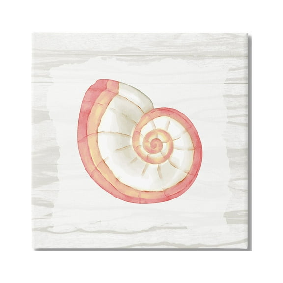 Stupell Industries Patterned Nautilus Shell Animals & Insects Painting Gallery Wrapped Canvas Print Wall Art, 17 x 17