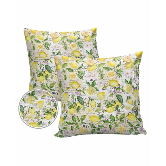 Pack of 2 Outdoor Pillow Covers, Summer Vintage Yellow Lemon with Leaves Waterproof Square Throw Pillowcase Cushion Decorative Pillow Covers for Couch Patio Tent, 24x24 in