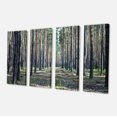 thumbnail image 2 of Forest Road in Thick Woods - Modern Forest Canvas Art, 2 of 3