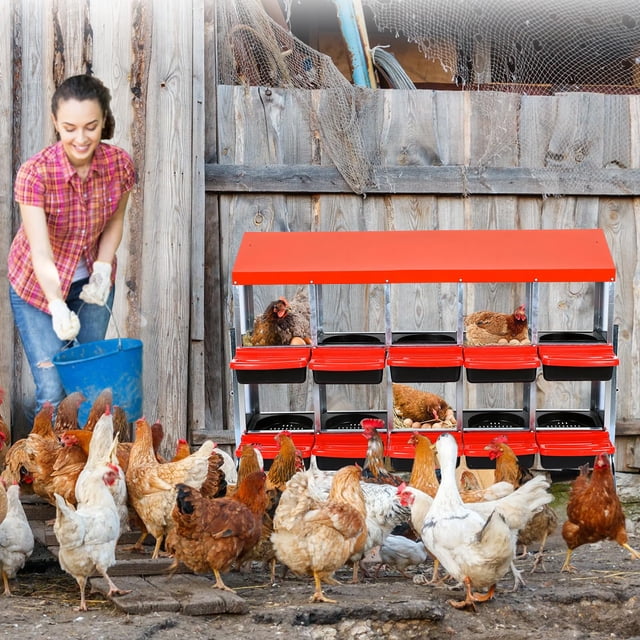 EDTara Chicken Nesting Box, Nesting Boxes for Chickens, Chicken Laying Boxes,Roll Away Nesting Box for Chickens Laying Egg