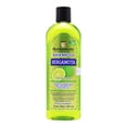 thumbnail image 1 of Shampoo Raramuri bergamota 400 ml, 1 of 3