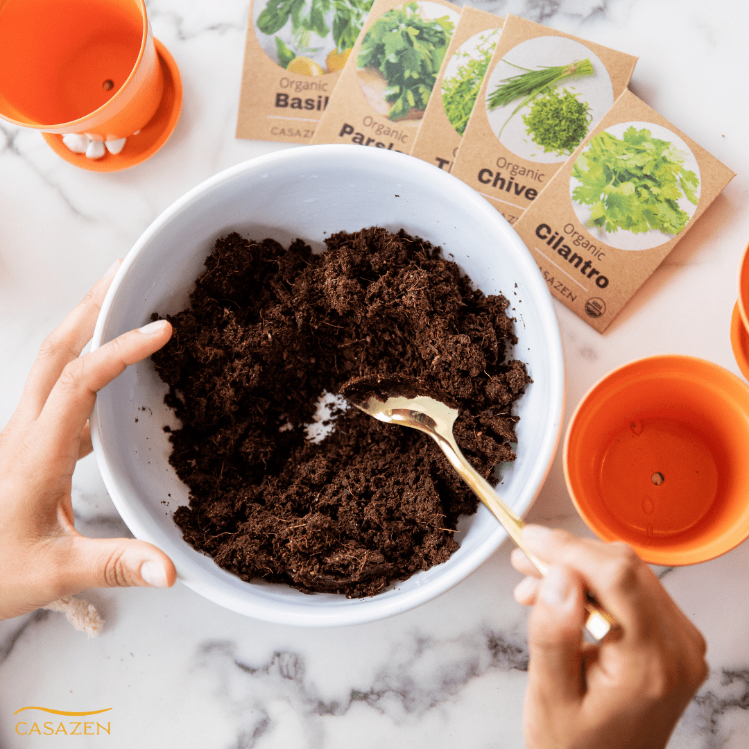 Indoor Herb Garden Kit | Organic Non GMO Seed Cilantro, Chives, Parsley, Basil and Thyme  | Great Learning and Self Care Gift - Mini