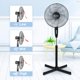 thumbnail image 5 of Ventilador sencillo de lujo, 5 of 5