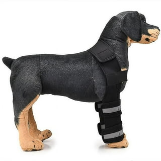 Hygroma Elbow Pads Dogs