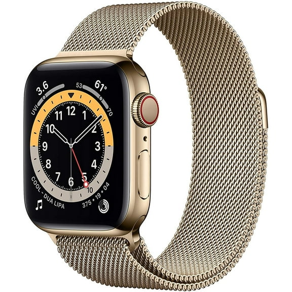 Restored Apple Watch Series 6 (GPS   LTE) 40mm Gold Stainless Steel Case & Gold Milanese Loop (Refurbished)