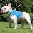thumbnail image 2 of HQREA Small Dog Cooling Vest Reflective No-Pull Dog Harness Puppy Life Jacket for Swimming, 2 of 8