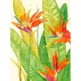 thumbnail image 2 of OToole, Tim 12x14 Gold Ornate Wood Framed with Double Matting Museum Art Print Titled - Watercolor Tropical Flowers III, 2 of 4