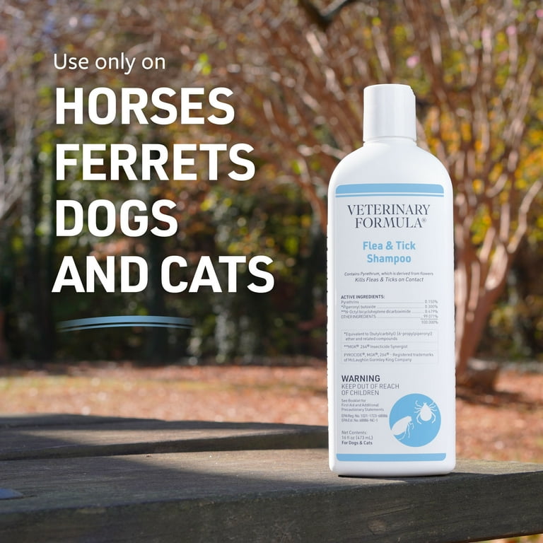 Flea dermatitis clearance shampoo