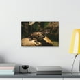 thumbnail image 3 of Alligator Couple Alligator Troop Print Animal Wall Art Wildlife Canvas Prints Wall Art Ready to Hang Unframed, 3 of 18