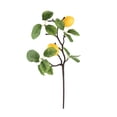 thumbnail image 1 of Simulación de rama de limón (limones gemelos pequeños y oscilantes tipo B), 1 of 14