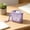Purple, variant on Mesh Mini Storage Bag - Small Mesh Zipper Pouch, Coin Purse Key Holder Card Case, Travel Organizer for Keys, Coin, Cards, Earbuds - Compact Mesh Pouch with Wrist Strap